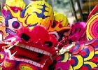 Lion Dance