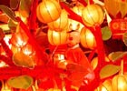 Lanterns